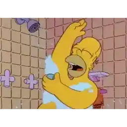 Bạn có thích mèo không?