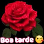  Bom Dia!