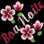  Boa noite
