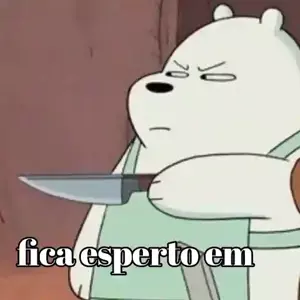 ZvFSgW