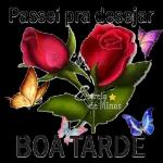 Passei pra desejar Is rela de Minas BOA TARDE 