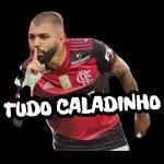 FLAMENGO