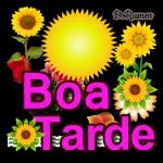  quero todas