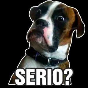 SERIO? - getsticker.com