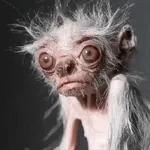 صباح الخير يا حلوين