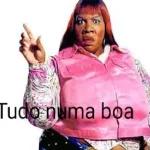Tudo numa boa 