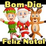 Feliz ano novo