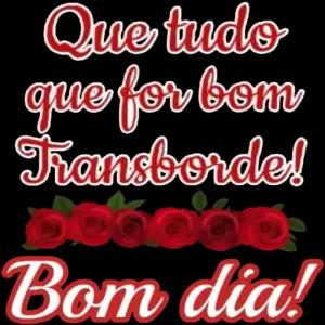 Que tudo que for bom Transborde! Debolos Bom dia! - getsticker.com