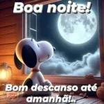 boa noite ip 2️⃣