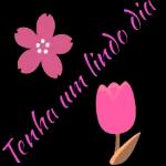 minhas y
