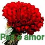 tô com sono