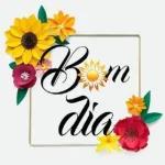 boom dia