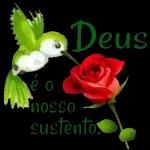 Deus 