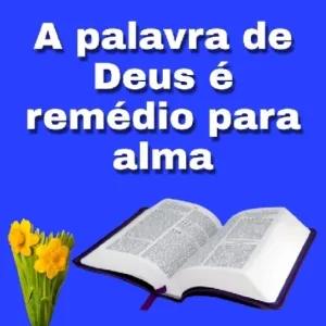 A palavra de Deus é remédio para alma - getsticker.com