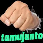 Adesivos divertidos