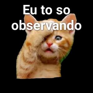 xk1Eu0