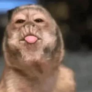 hsriam9