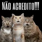  BOM DIA
COM MUITAS
BÊNÇÃOS E
VITÓRIAS!