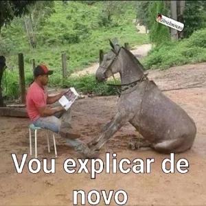 Dilmirhasincesa Vou explicar de novo - getsticker.com