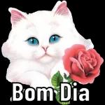 robertasouarobertasouza8@gmail