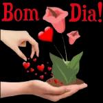 Bom dia amém🙏