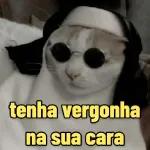 Por nada!