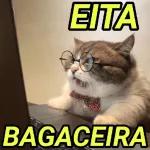 Eu sou uma piada pra você??