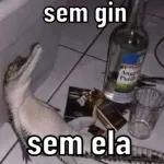 só animais 😂