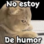 gatitos