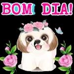 DA PARTE DE QUEM?