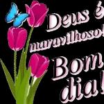 Bom dia Esta rosa é para você