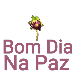 zOQkjF
