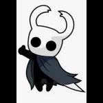hollow knight 