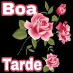 minhas y