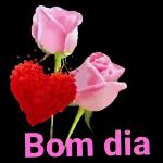 Bom dia flor