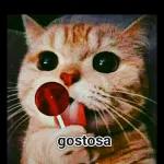 GOSTOSA