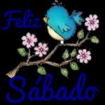 É HOJE!!!