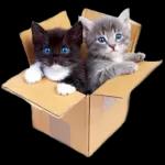 Boa
Que a
sua tarde
seja leve,
abençoada,
iluminada
e feliz.
Tarde