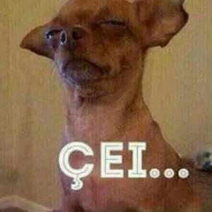 çei... - getsticker.com