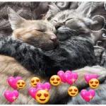 pra ti mi amor♥♥