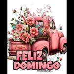 bom domingo 