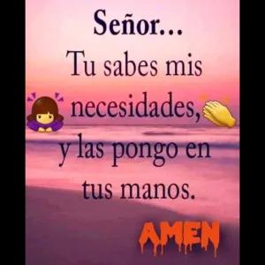 AERR7N
