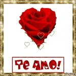 bom dia amor