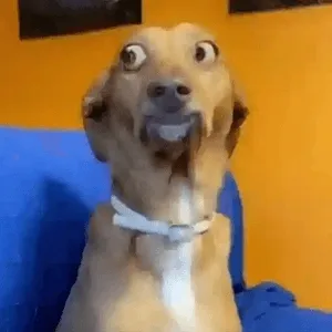 0BUSgd
