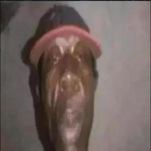 rSqvwn