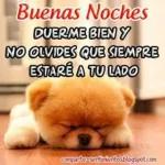 buenas noches😴