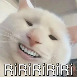 dhGHUu