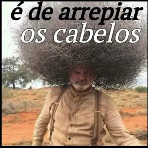 é de arrepiar os cabelos - getsticker.com