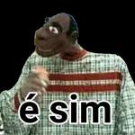 TMJ COMPANHEIRO