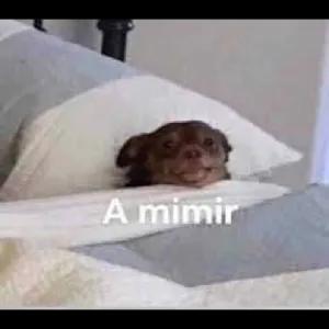 dYIkVd